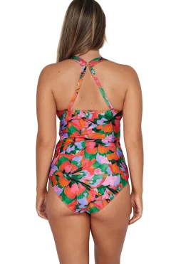Sunsets Hummingbird Cove Elsie Tankini Top