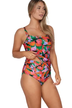 Sunsets Hummingbird Cove Taylor Tankini Top