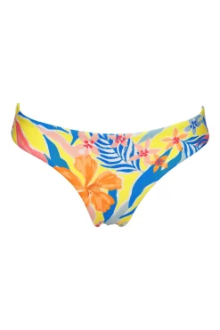 Sunsets Suncatcher Collins Hipster Bottom